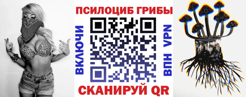 купить наркотики сайты  маркетплейс Telegram  Псилоцибиновые грибы ЛСД  Чудово 